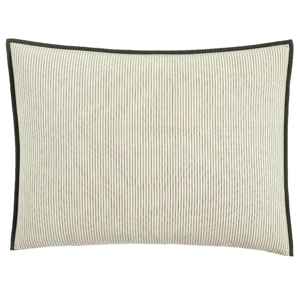 Pottery Barn Jaxson Reversible Quilted Standard Pillow Sham Cover Green NEW